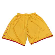 Charger l&#39;image dans la galerie, Nike Basketball España/Spain Shorts (2015) *Pre-Owned*
