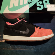 Charger l&#39;image dans la galerie, Nike Dunk SB Low x Premier &#39;Fish Ladder&#39; (2015) *Pre-owned*
